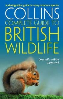 British Wildlife