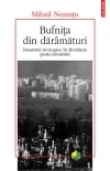 Bufnita din daramaturi. Insomnii teologice in Romania postcomunista