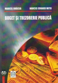 Buget si trezorerie publica