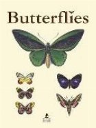 Butterflies/Schmetterlinge editie bilingva