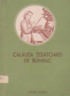 Calauza tesatoarei bumbac