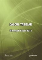 Calcul tabelar - Microsoft Excel 2013