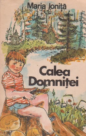 Calea Domnitei