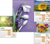 Calendar de perete cu flori 2013