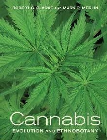 Cannabis