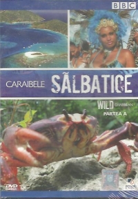 Caraibele salbatice / Wild Caribbean, Partea A (DVD Video)