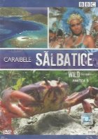 Caraibele salbatice / Wild Caribbean, Partea B (DVD Video)