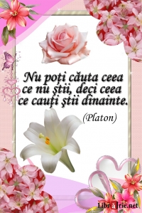 Card magnetic laminat (model 15) - Nu poti cauta ceea ce nu stii, deci ceea ce cauti stii dinainte (Platon)