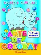 CARTE de COLORAT : 4-5 ani (A4) editia 2013