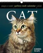 Cat Page Week Gallery Wall