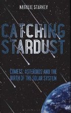 Catching Stardust