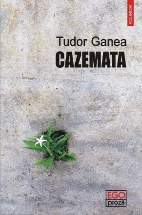 Cazemata