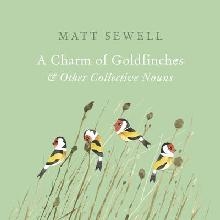 Charm of Goldfinches and Other Collective Nouns