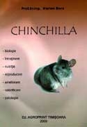 Chinchilla