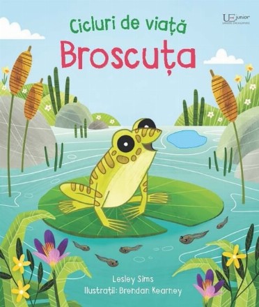 Cicluri de viaţă : Broscuţa