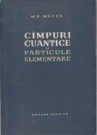 Cimpuri cuantice particule elementare