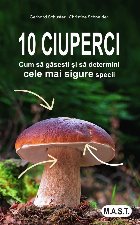 10 ciuperci. Cum sa gasesti si sa determini cele mai sigure specii