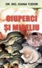 Ciuperci Miceliu