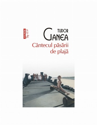 Cântecul păsării de plajă : roman