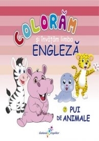 Coloram si invatam limba engleza nr. 7 - Pui de animale