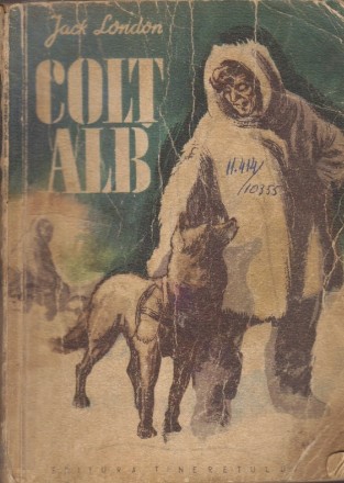 Colt Alb