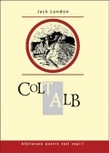 Colt alb