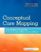 Conceptual Care Mapping