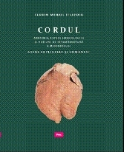 Cordul - Anatomie, repere embriologice si notiuni de infrastructura a miocardului. Atlas explicitat si comentat