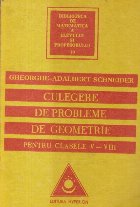 Culegere de probleme de geometrie pentru clasele V-VIII (Schneider, Editie 1993)