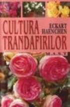 Cultura trandafirilor