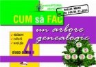 Cum sa fac un arbore genealogic, clasa a IV-a