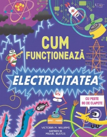 Cum funcţionează electricitatea