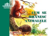 Cum se hranesc animalele