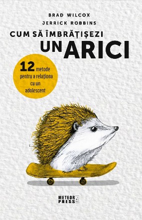 Cum să îmbrăţişezi un arici : 12 metode pentru a relaţiona cu un adolescent