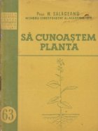 cunoastem planta