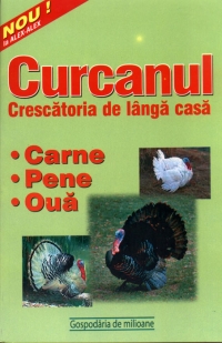 Curcanul-crescatoria de langa casa. Carne,pene si oua