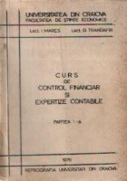 Curs control financiar expertize contabile