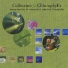 Decouverte Chlorophylle