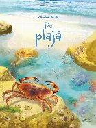 Descopar lumea: plaja (Usborne)