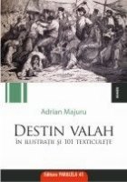 DESTIN VALAH ILUSTRATII 101 TEXTICULETE