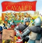 O zi din viata unui cavaler