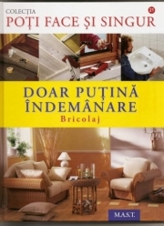 DOAR PUTINA INDEMANARE: BRICOLAJ