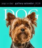 Dog Page-A-Day Gallery Calendar 2020