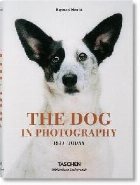 Dog in Photography 1839-Today