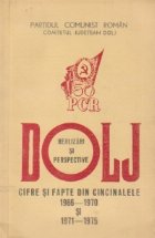 Dolj - Realizari si perspective. Cifre si fapte din cincinalele 1966-1970 si 1971-1975