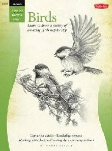 Drawing: Birds (How to Draw and Paint)