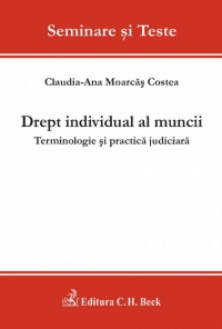 Drept individual al muncii - Terminologie si practica judiciara