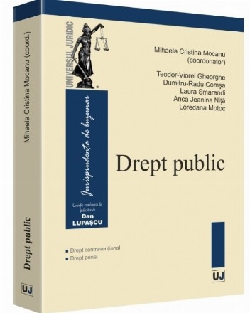 Drept public. Drept contraventional, Drept penal