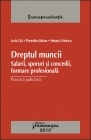 Dreptul muncii. Salarii, sporuri si concedii, formare profesionala. Practica judiciara