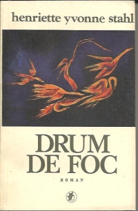 Drum de foc - roman -